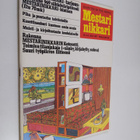 Mestarinikkari 8/1977 - pikkukuva 1