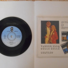 ARMI JA DANNY 7" Vinyyli Tahdon olla sulle hellä v.1977 - pikkukuva 2