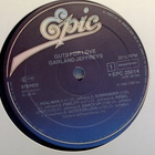 GARLAND  JEFFREYS  ::  GUTS FOR LOVE  ::  VINYYLI  LP  1982 - pikkukuva 3
