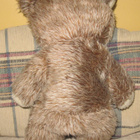 Vanha, siisti Nalle. Pit. 37cm - pikkukuva 3