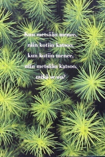 Kuusenkerkkä Postikortti