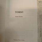 Erkka Filander - Torso (nid.) - pikkukuva 2