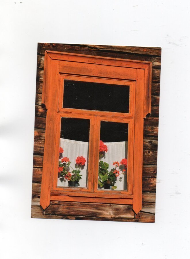 "HIRSIMÖKIN IKKUNA & PELARGONIAT" -KORTTI