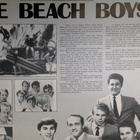 THE BEACH BOYS :: THE CAPITOL YEARS :: 3 x VINYYLI LP 1984 ! - pikkukuva 2