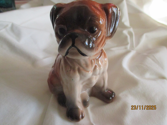 Posliini koira/buldoggi