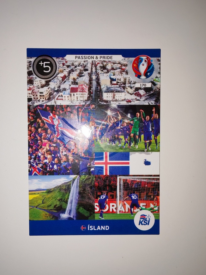 Panini Adrenalyn XL UEFA EURO 2016  # 170 Island