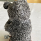 Vanha upea peltilelu - pikkukuva 2