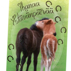 °°IHANAA YSTÄVÄNPÄIVÄÄ°° -KORTTI / (Korttiriihi) - pikkukuva 1