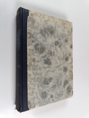 Victor Hugo : Meren ahertajat