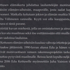 Veli-Pekka Hänninen: Edu Kettunen - pikkukuva 4