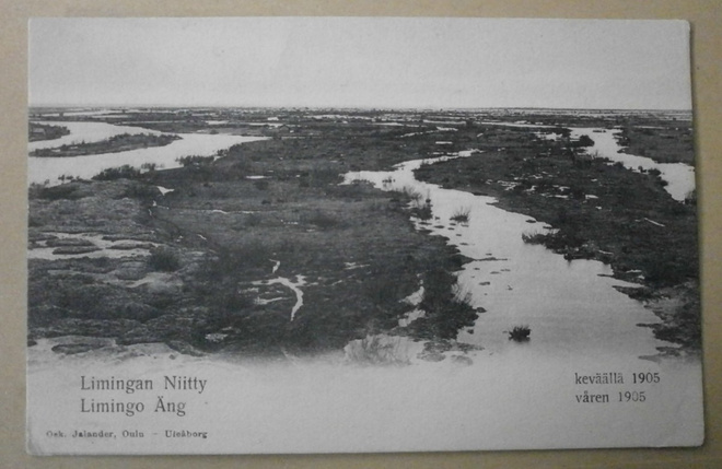 Liminka, Limingan niitty 1905 tulvan vallassa, mv pk, ei p.