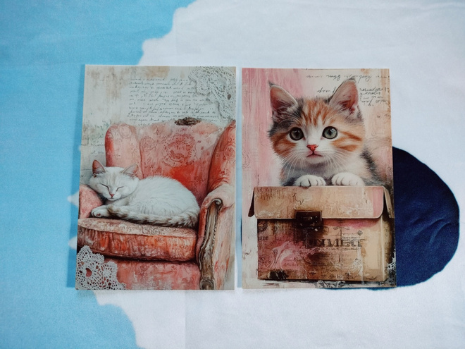 ~Kissa kortti~ 2kpl