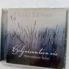 CD JUKKA SALMINEN Hiljaisuuteen vie, Pyhiinvaeltajan lauluja - pikkukuva 1