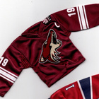 Shane Doan Phoenix 07-08 Upper Deck Mini Jersey - pikkukuva 2