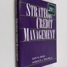 Sam N. Basu ym. : Strategic Credit Management - pikkukuva 1