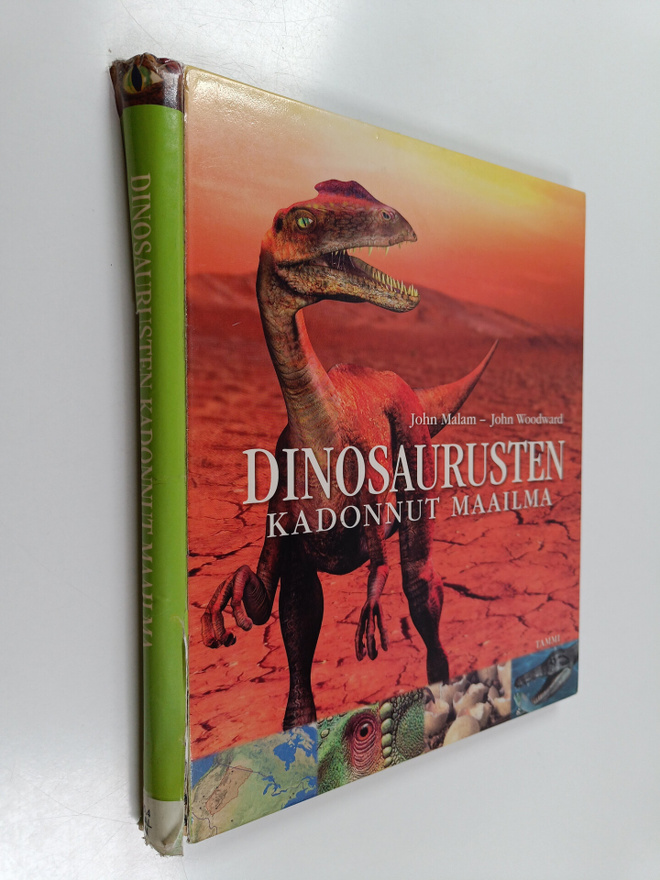 John Malam : Dinosaurusten kadonnut maailma