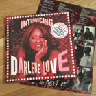 Darlene Love – Introducing Darlene Love 2LP - pikkukuva 1