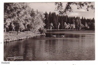 HÄMEENLINNA / AULANKO: JOUTSENLAMPI (Matkaravinto Oy)