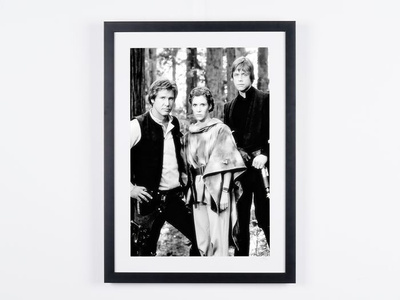 Star Wars Episode VI: Return of the Jedi - Han Solo, Princes