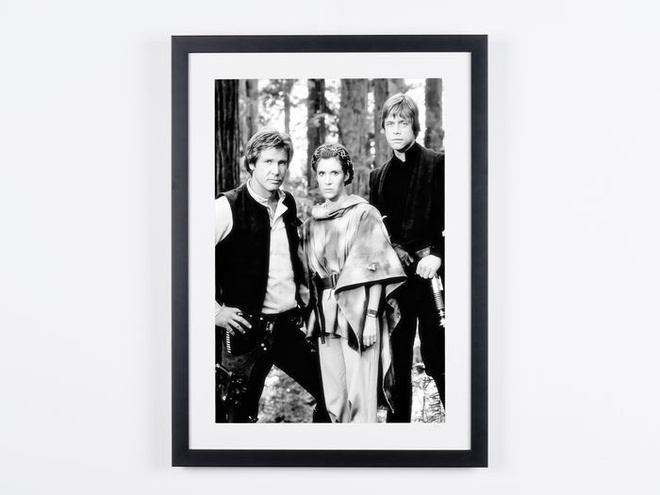 Star Wars Episode VI: Return of the Jedi - Han Solo, Princes