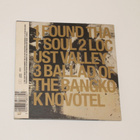 Manic Street Preachers: Found That Soul - pikkukuva 2