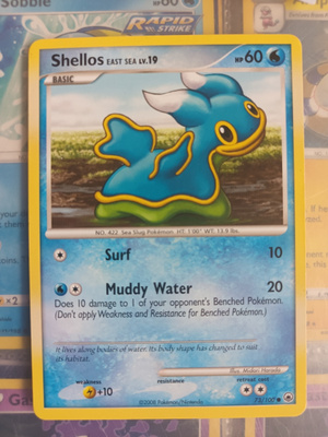 Pokemon Shellos East Sea lv. 19 73/100