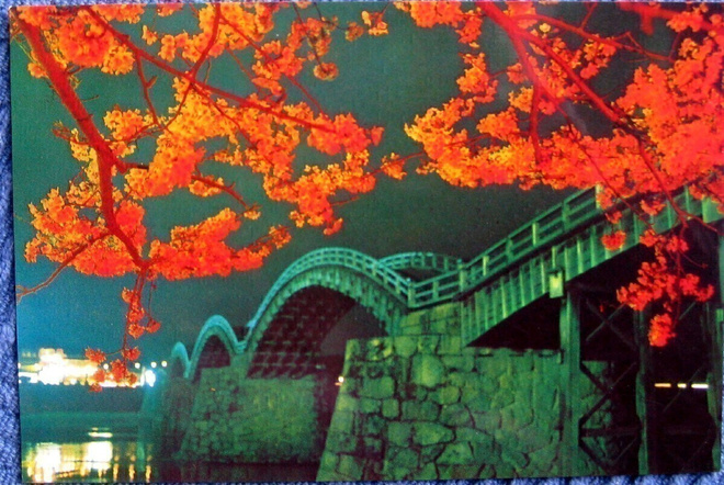 Japani Kintai Bridge ja kirsikankukat Postikortti