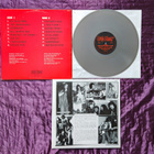 ANTISEEN - NOISE FOR THE SAKE OF NOISE ( Alkup. Harmaa LP) - pikkukuva 2