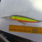 Rapala Barra Magnum - pikkukuva 2