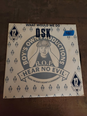 DSK - What Would We Do