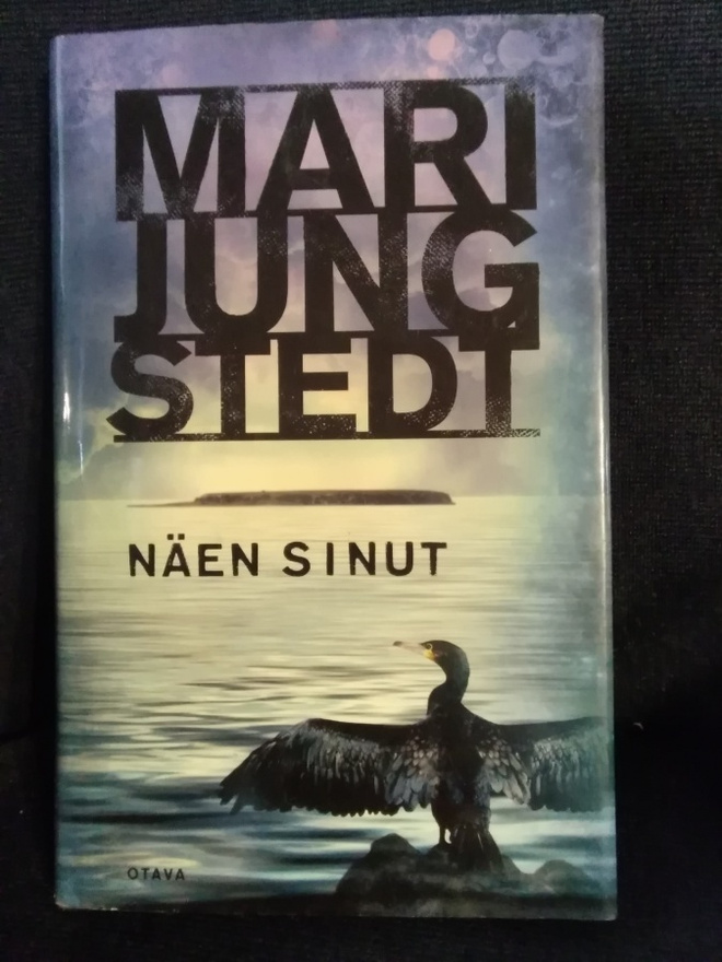 Mari Jungstedt: Näen sinut