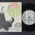 The Delmonas - Hello We Love You, Volume 2 EP (1984) + bonus - pikkukuva 1