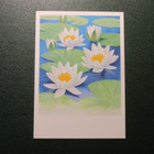 C. 58 1996. Lumme SR , kulkenut - pikkukuva 1