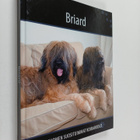 Briard - pikkukuva 1