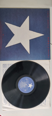 Neil Young - Hawks & Doves vinyyli lp