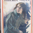 Yorke Davis: Viheriä viitta (10 mk), Gummerus 1919. 175 s. - pikkukuva 1