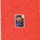 Panini Euro-Jalkapallo n:o 348 2008 Keräilykuva - pikkukuva 1