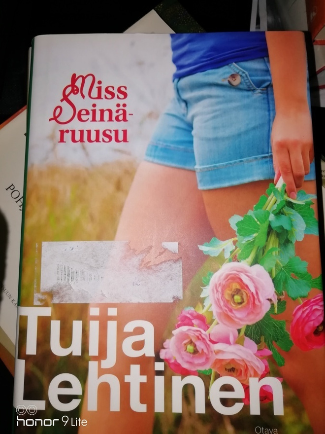 Tuija Lehtinen Miss seinäruusu