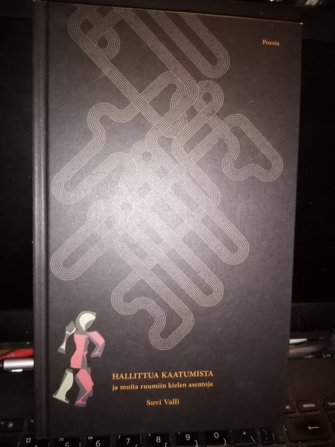 Suvi valli : Hallittua kaatumista ( SIS POSTIKULU)