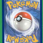 Pokémon Friends in Galar - pikkukuva 2