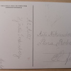 Nuori leidi katsoo kristallipallolla tulevaisuuteen, k. 1918 - pikkukuva 2