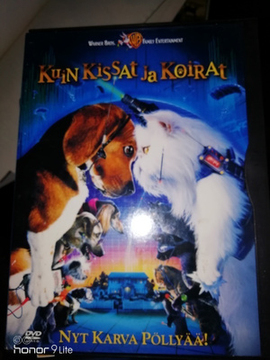 Kuin kissat ja koirat