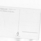 °°Liila Metsäalppikello lumessa°° -KORTTI - pikkukuva 2