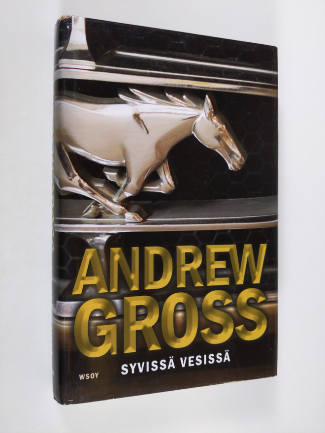 Andrew Gross : Syvissä vesissä