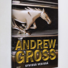 Andrew Gross : Syvissä vesissä - pikkukuva 1