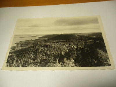 Koli - 1949