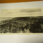 Koli - 1949 - pikkukuva 1