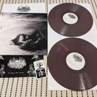 Wildernessking - Mystical Future + The Writing Of Gods ... - pikkukuva 3