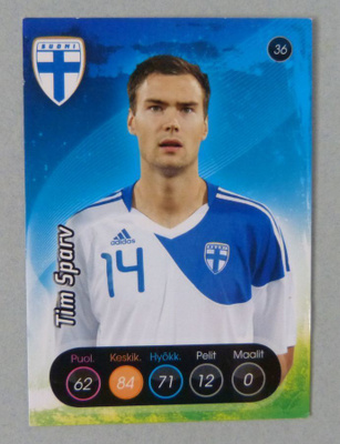 Huuhkajat 2013 - 36 Tim Sparv
