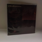 FLESHPRESS - DILEMMANTRAUMA M-/M- 2 X 7" - pikkukuva 2